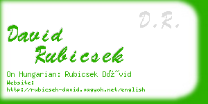 david rubicsek business card